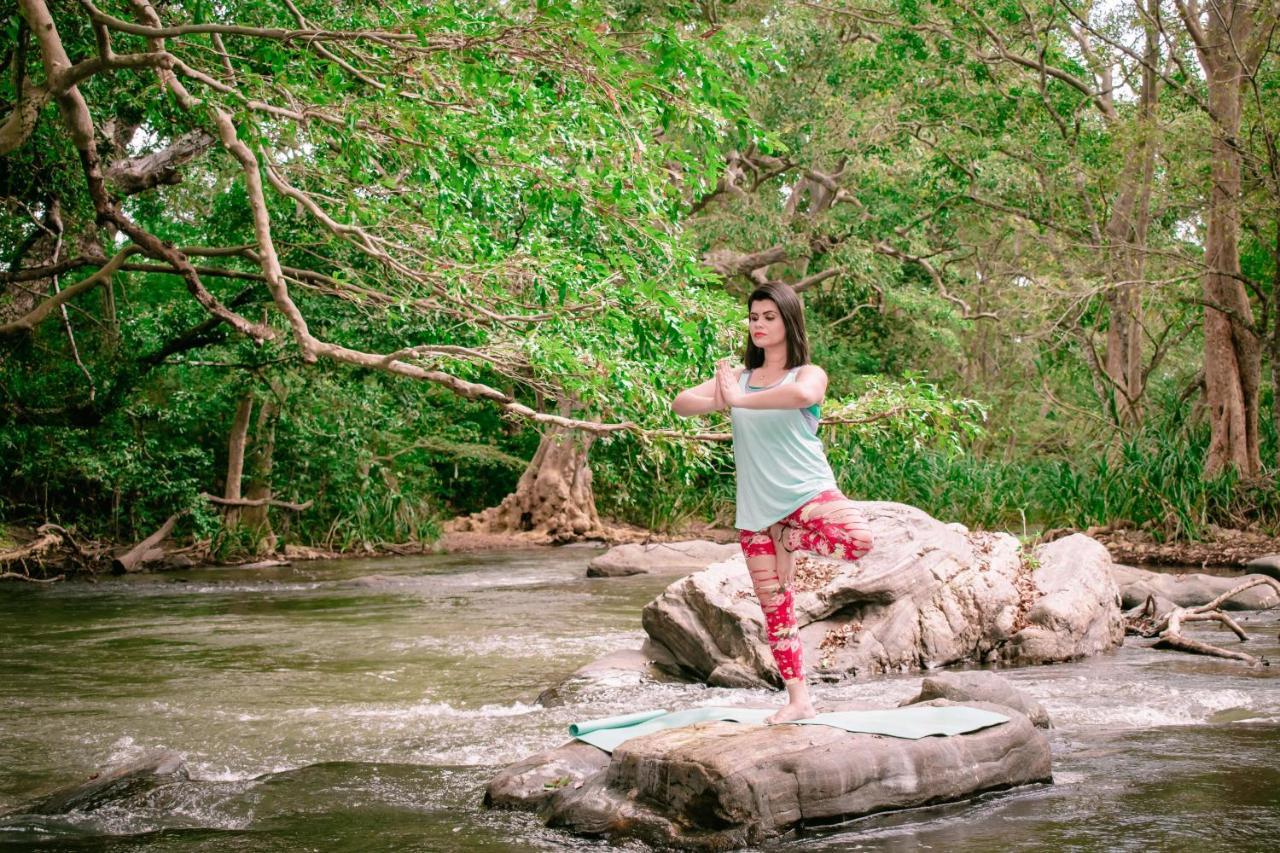 Sayon River Cottage & Eco Garden Monaragala 外观 照片