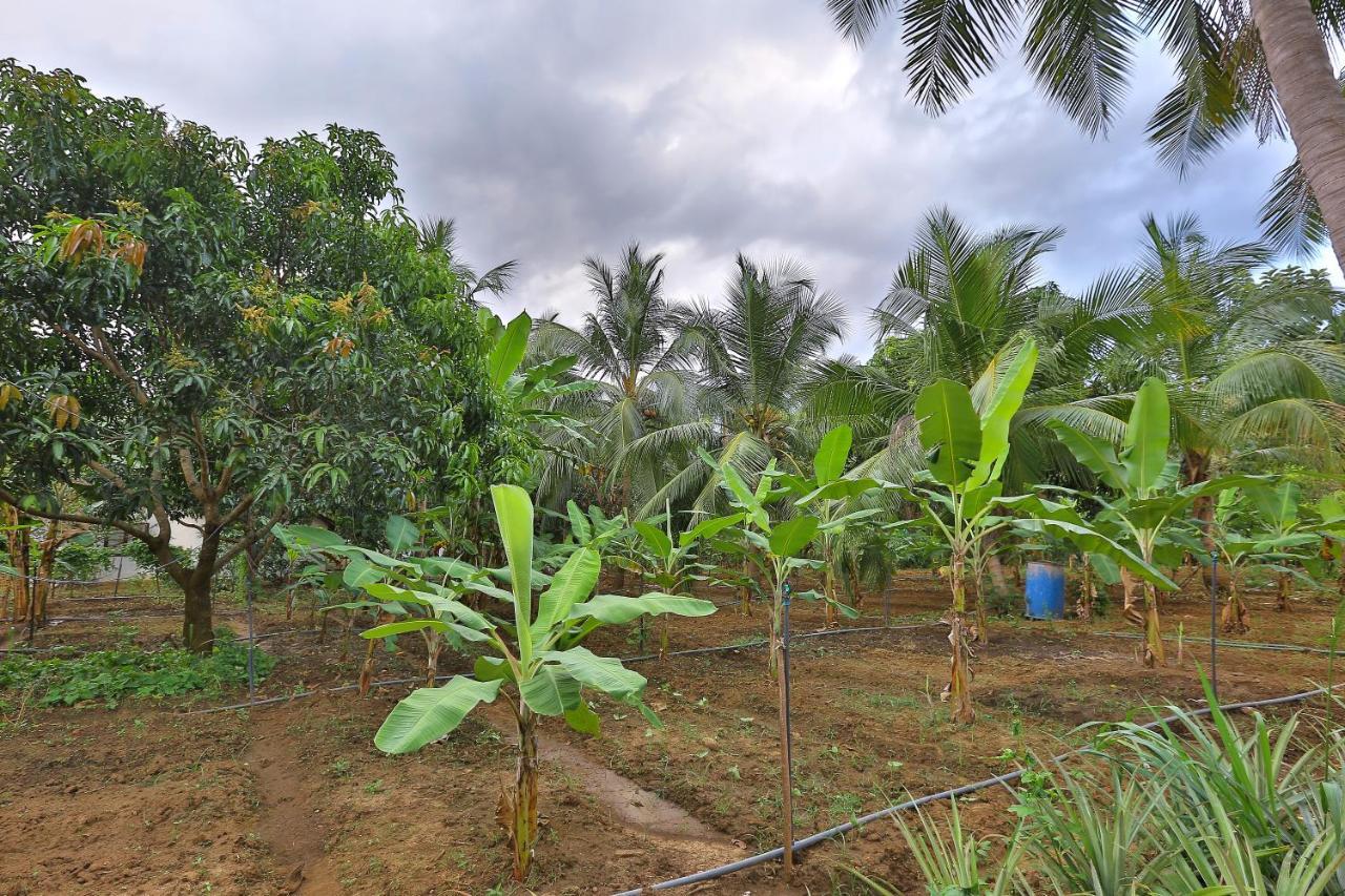 Sayon River Cottage & Eco Garden Monaragala 外观 照片