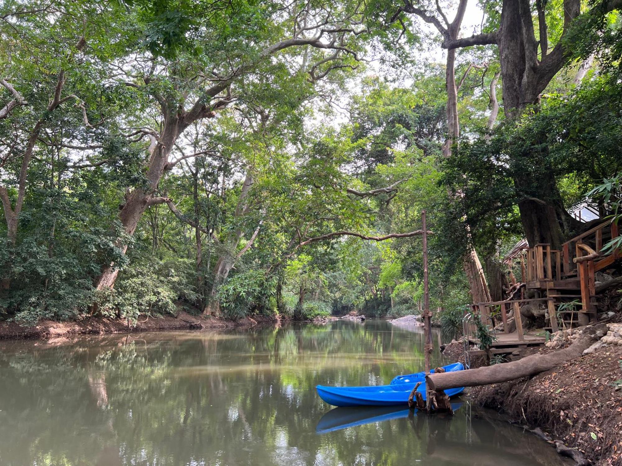 Sayon River Cottage & Eco Garden Monaragala 外观 照片